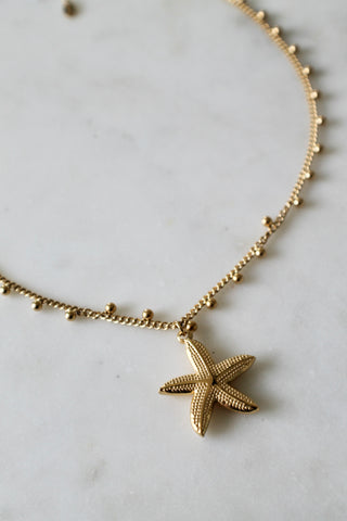 Star fish necklace