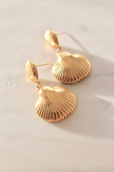 Seashell earrings