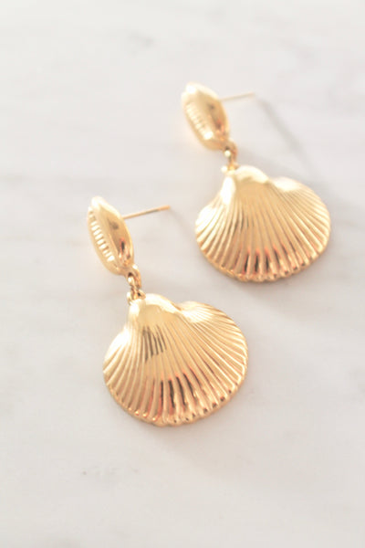 Seashell earrings