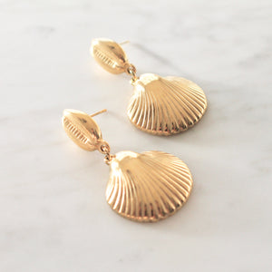 Seashell earrings