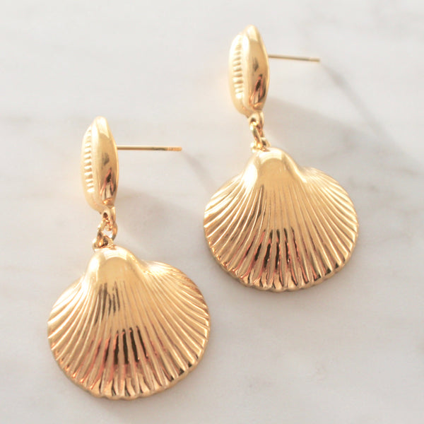 Seashell earrings