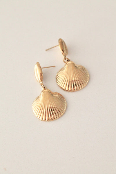 Seashell earrings