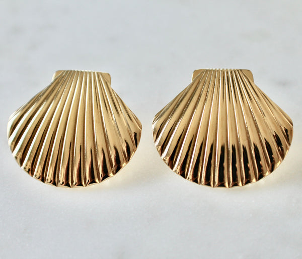 Seashell  earrings