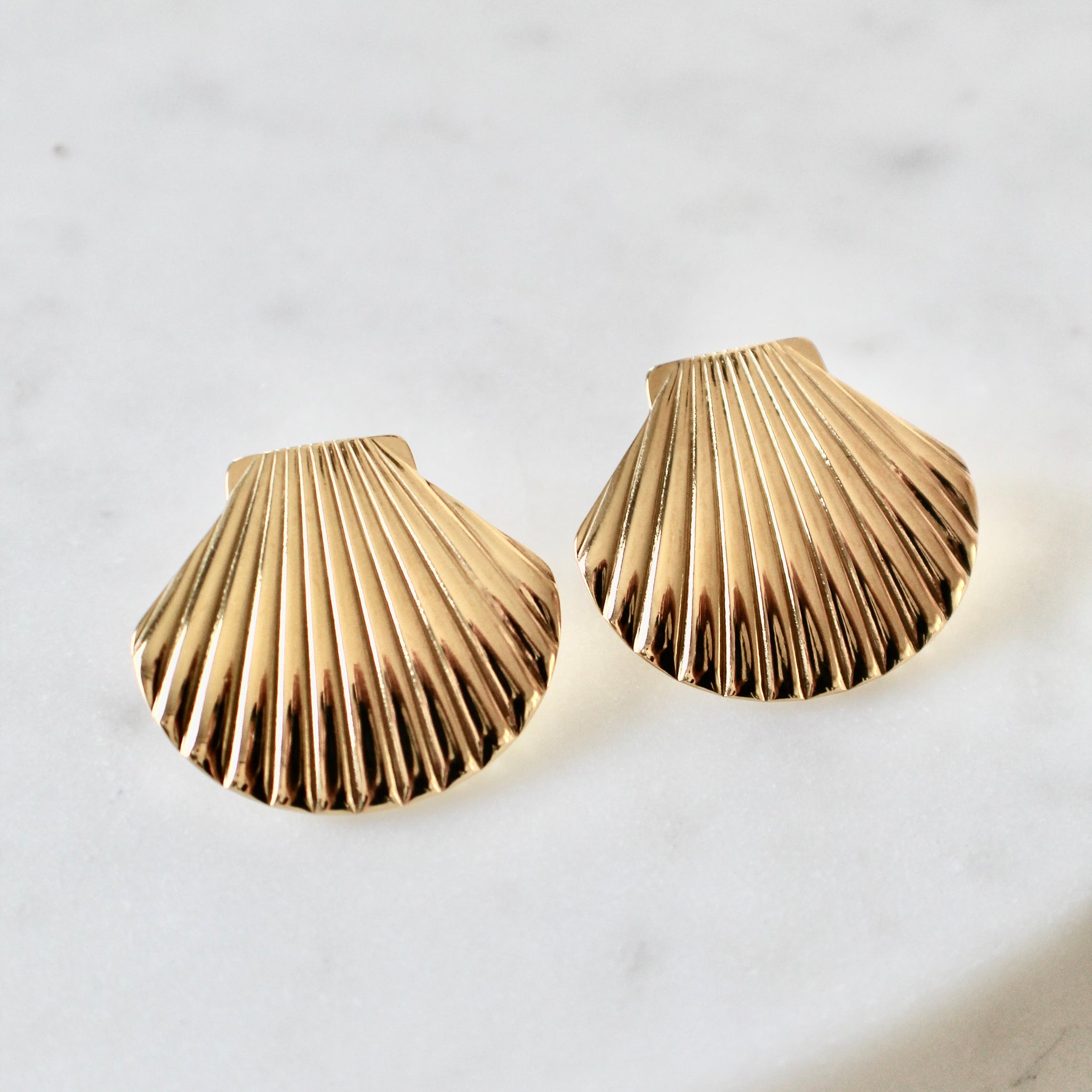 Seashell  earrings