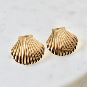 Seashell  earrings