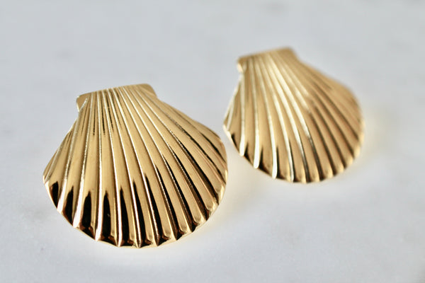 Seashell  earrings