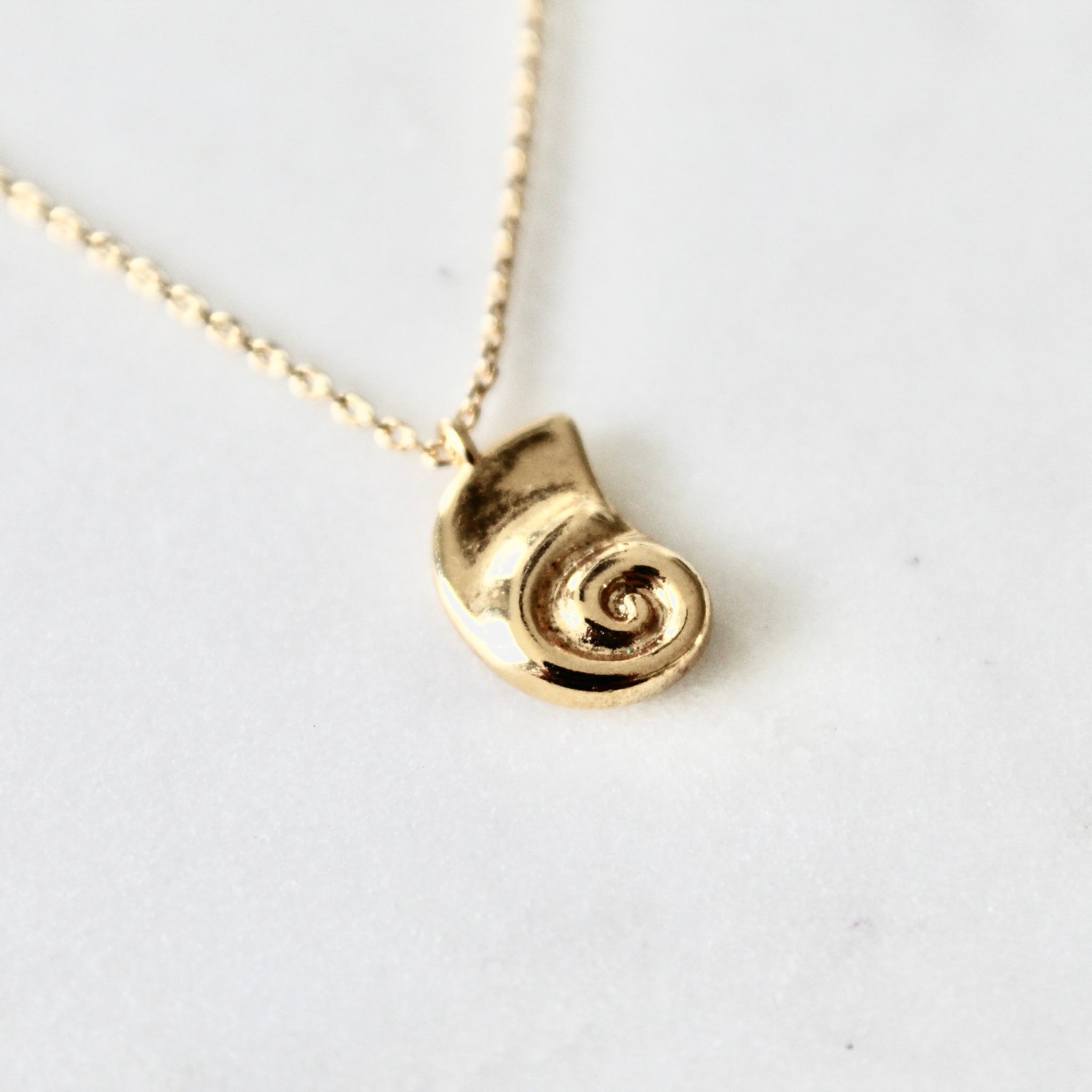 Sea shell necklace