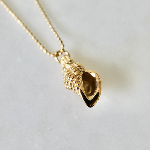 Conch shell necklace