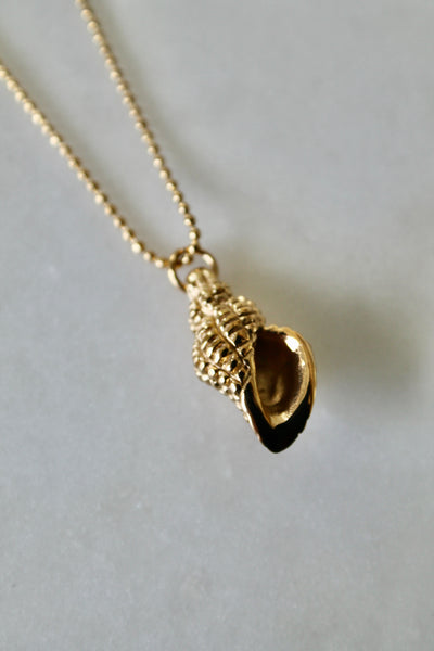 Conch shell necklace