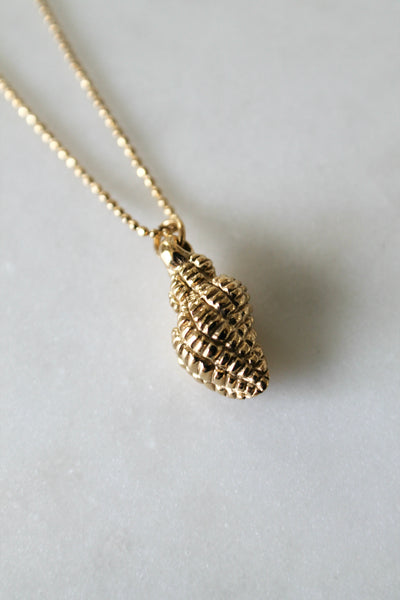 Conch shell necklace