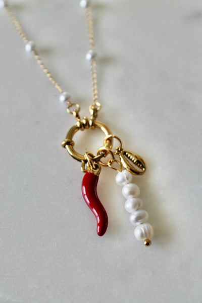Red pepper charm necklace