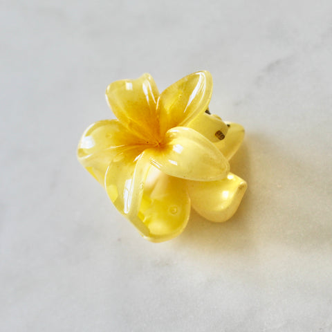 Mini Flower Hair Clips