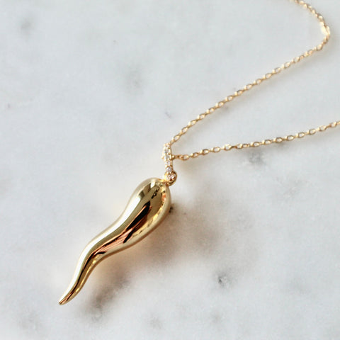 Italian horn necklace