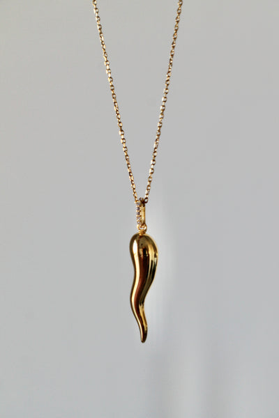 Italian horn necklace