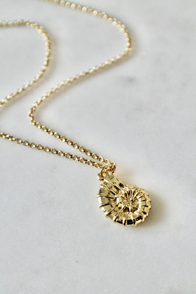 Sea shell necklace - Lily Lough 