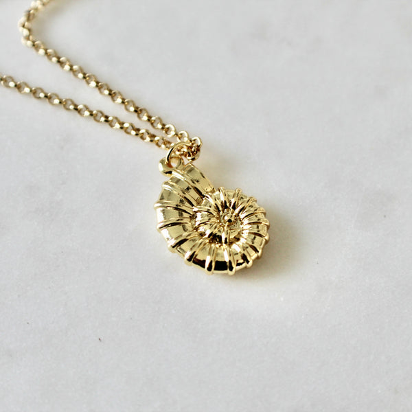 Sea shell necklace - Lily Lough 