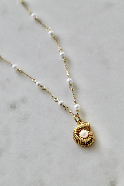 Sea shell pearl choker necklace - Lily Lough 